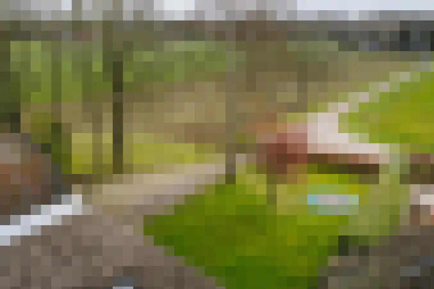 Hombrakensepad 3 A Wilp thumbnail 65