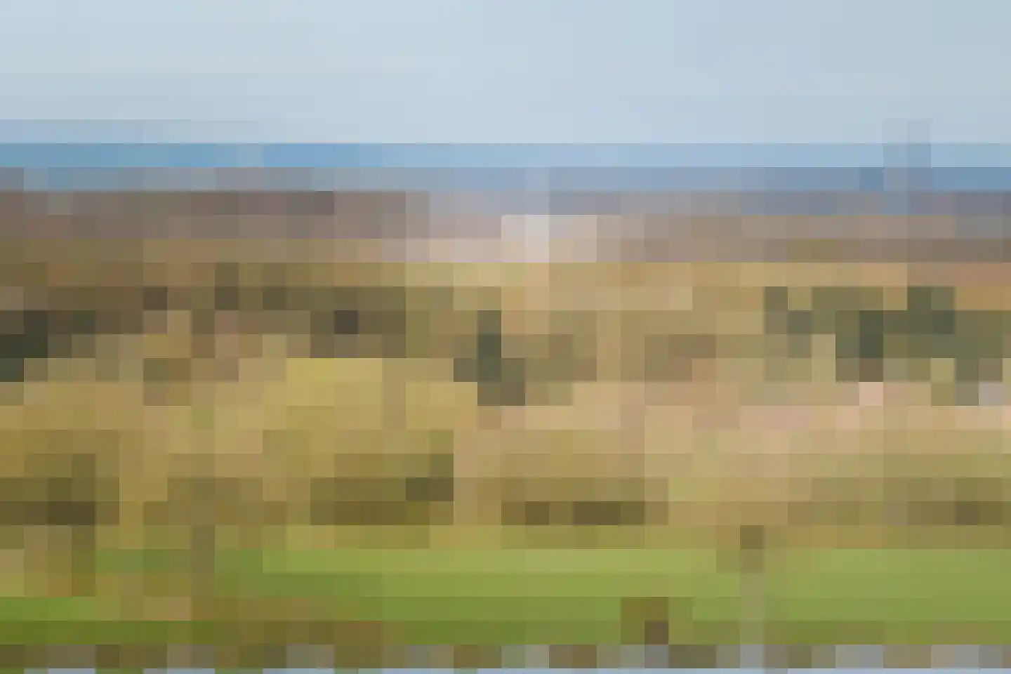 Hombrakensepad 3 A Wilp thumbnail 68