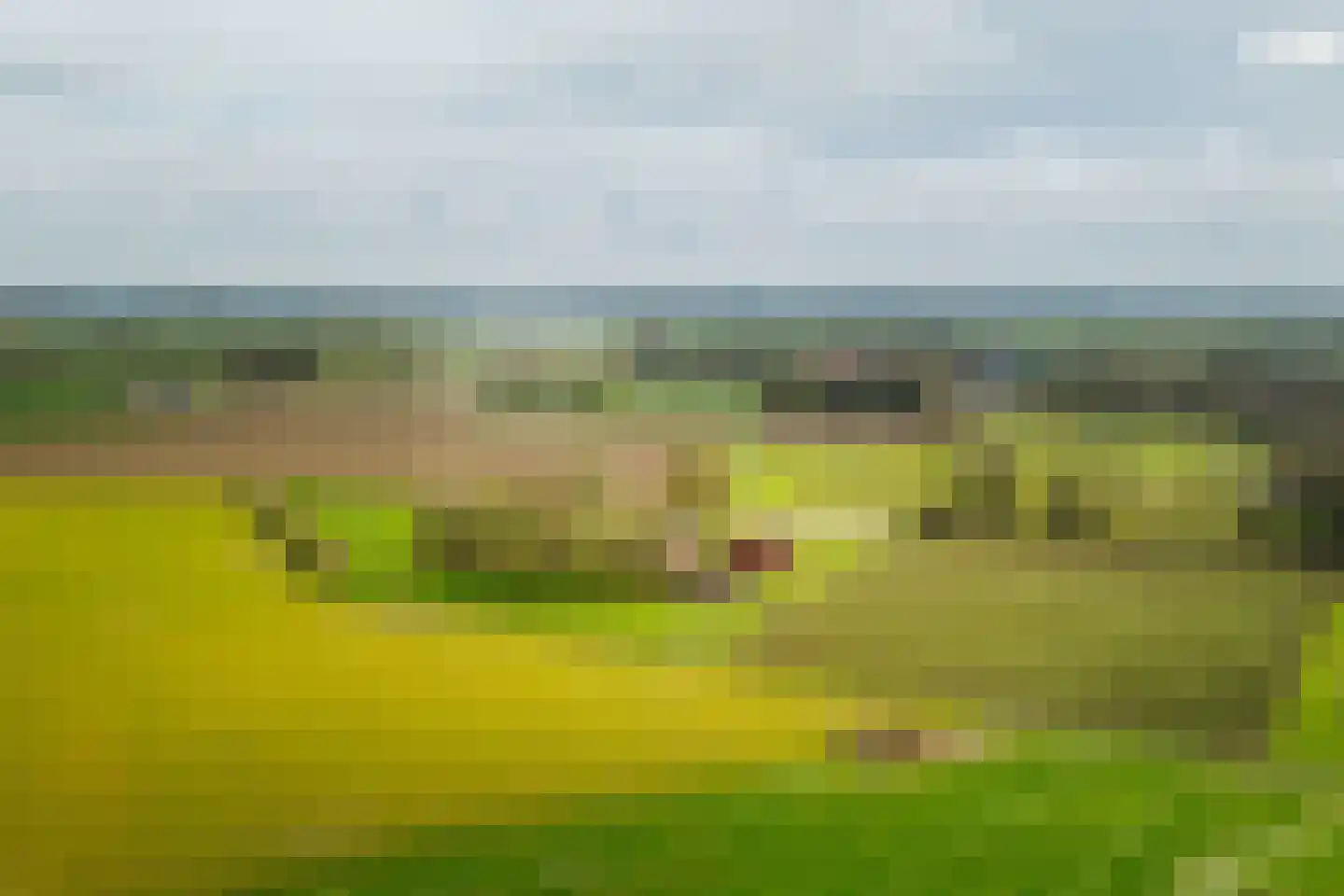 Hombrakensepad 3 A Wilp thumbnail 69