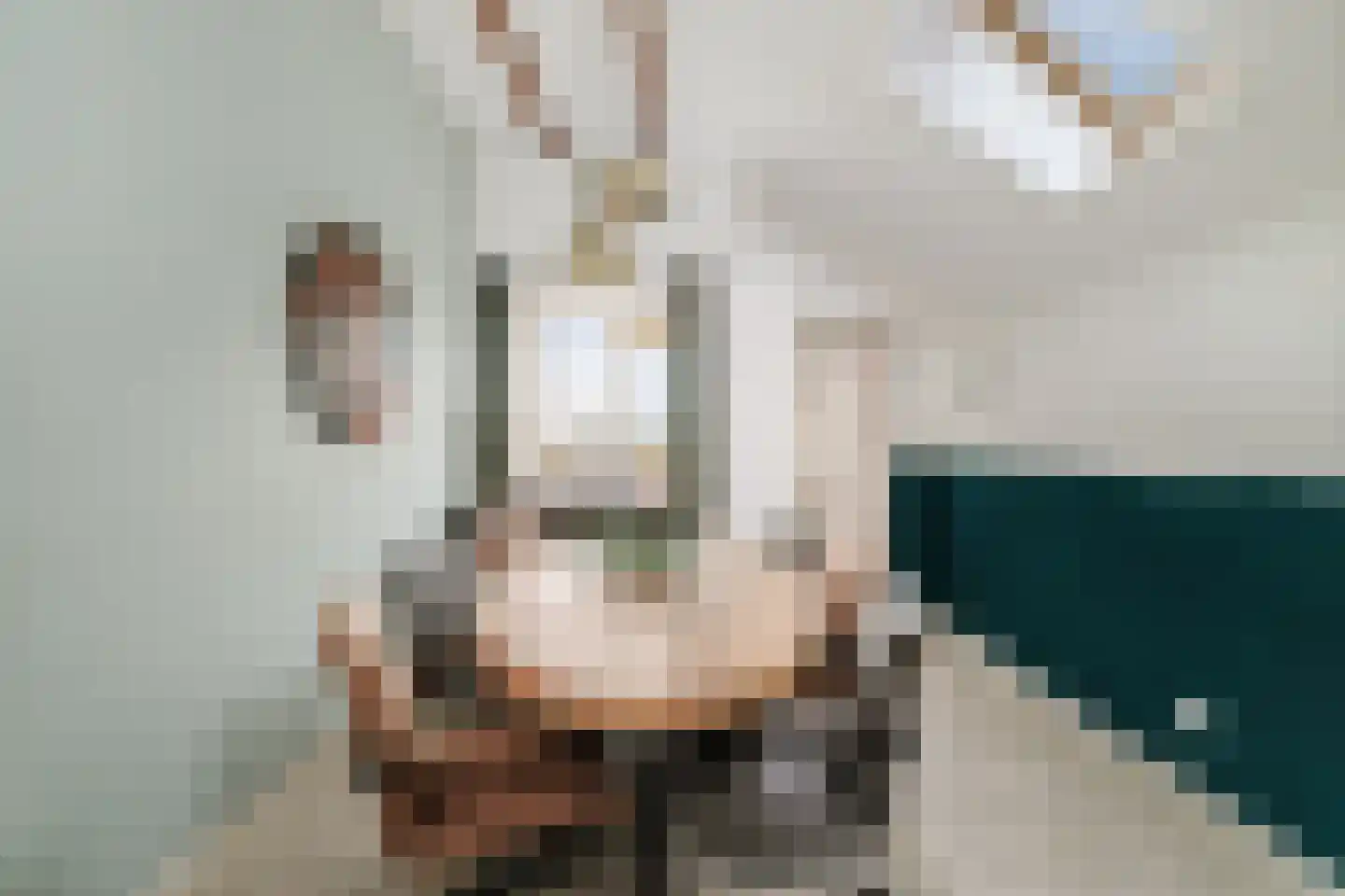 Hombrakensepad 3 A Wilp thumbnail 7
