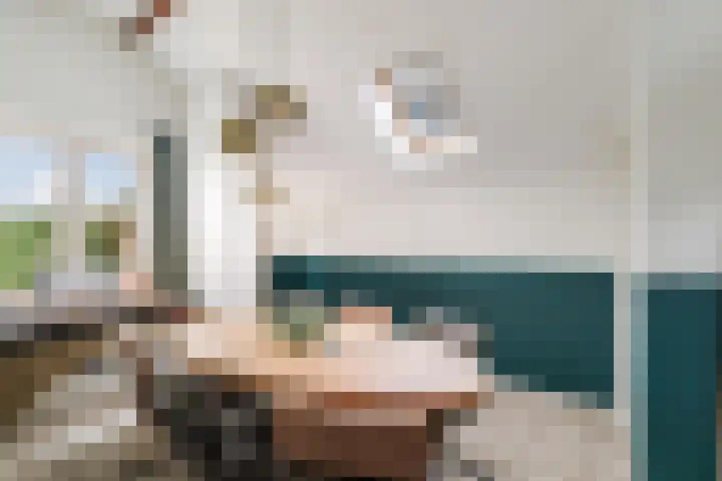 Hombrakensepad 3 A Wilp thumbnail 9