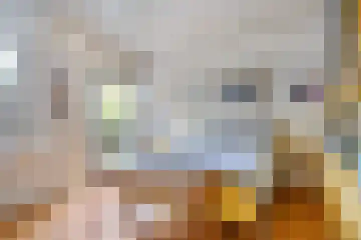 Hombroeckstraat 16 Asten thumbnail 15