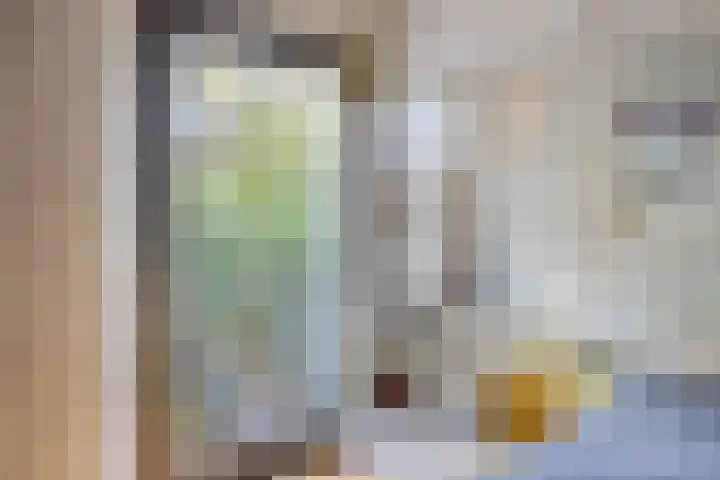 Hombroeckstraat 16 Asten thumbnail 16
