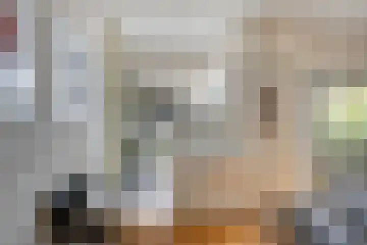 Hombroeckstraat 16 Asten thumbnail 18