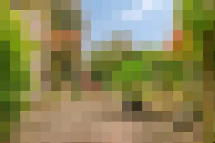 Hombroeckstraat 16 Asten thumbnail 27