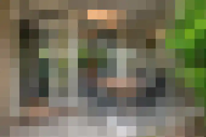 Hombroeckstraat 16 Asten thumbnail 28