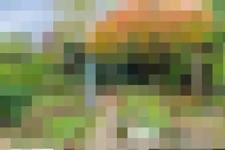 Hombroeckstraat 16 Asten thumbnail 29