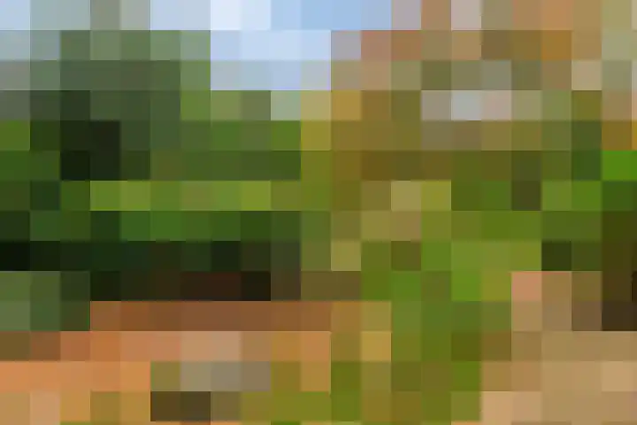 Hombroeckstraat 16 Asten thumbnail 31