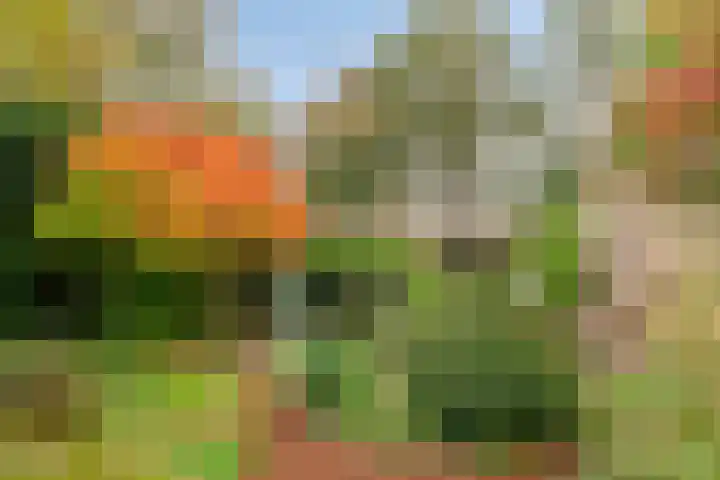 Hombroeckstraat 16 Asten thumbnail 34