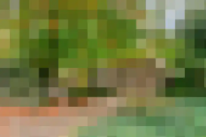 Hombroeckstraat 16 Asten thumbnail 35