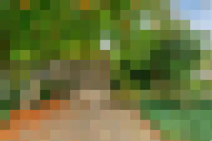 Hombroeckstraat 16 Asten thumbnail 36