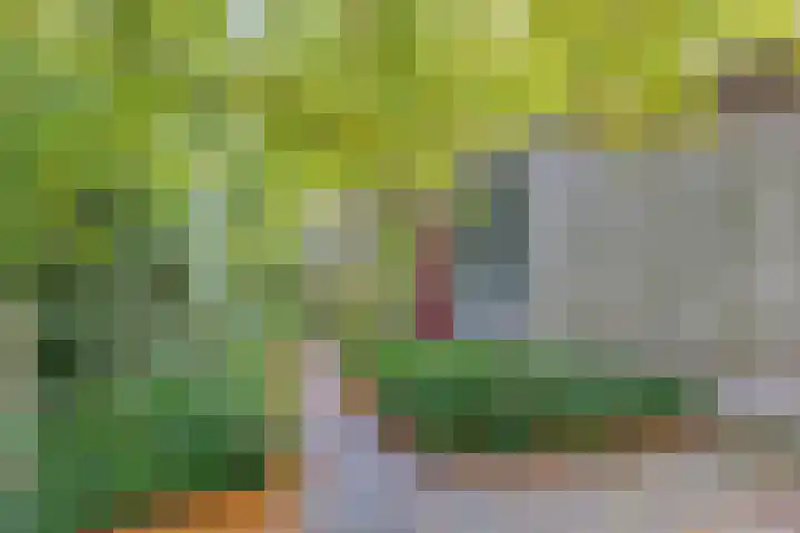 Hombroeckstraat 16 Asten thumbnail 37
