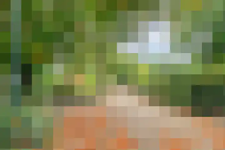 Hombroeckstraat 16 Asten thumbnail 38