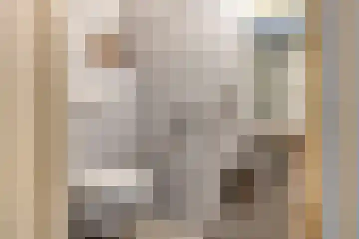Hombroeckstraat 16 Asten thumbnail 4