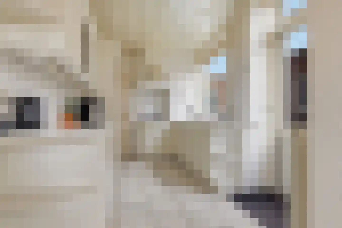 Homburgstraat 78 IJmuiden thumbnail 11