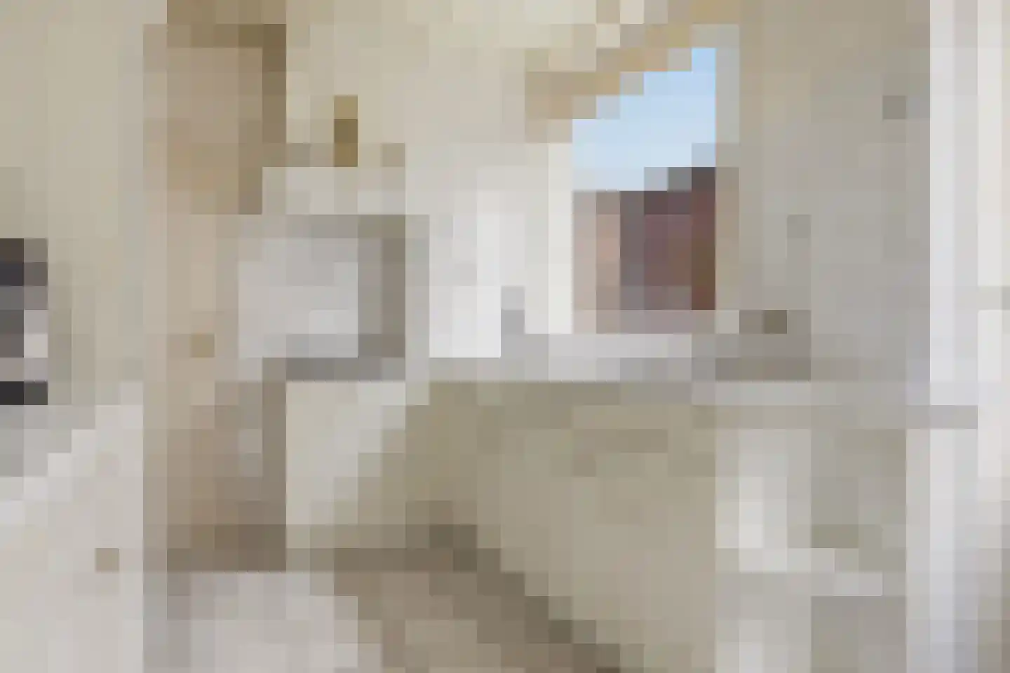 Homburgstraat 78 IJmuiden thumbnail 12