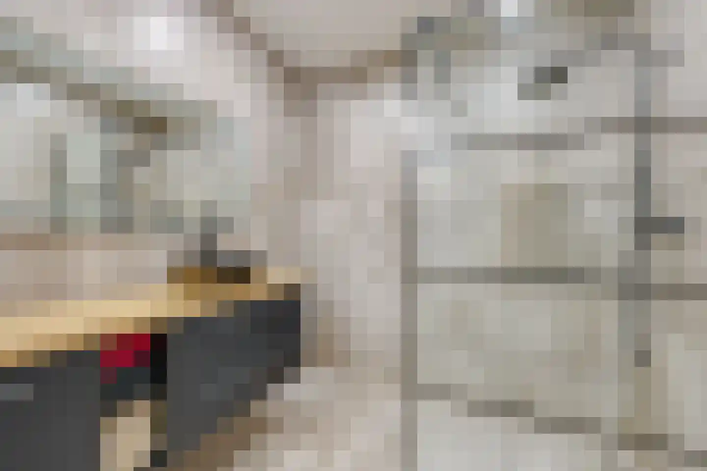 Homerushof 23 Almere thumbnail 29