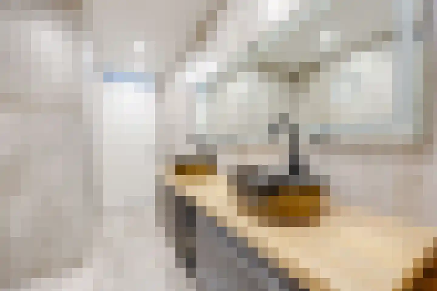 Homerushof 23 Almere thumbnail 31