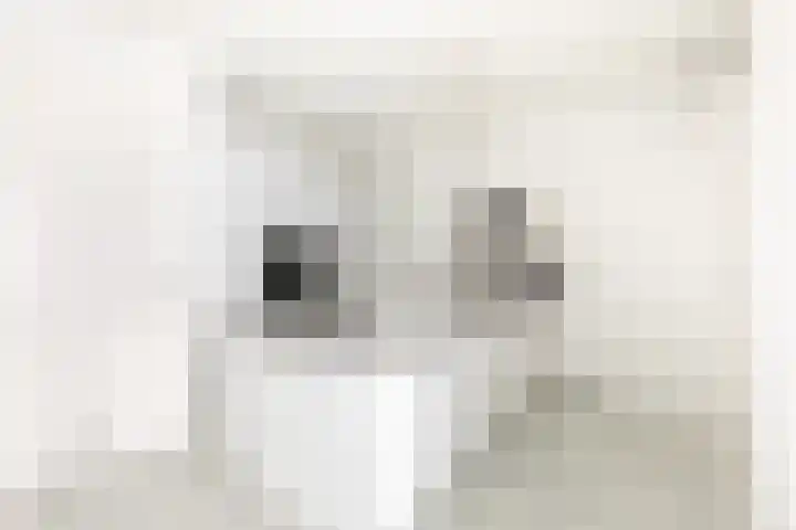 Homerushof 30 Almere thumbnail 22