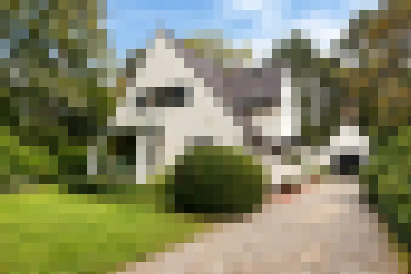 Homeruslaan 10 in Zeist