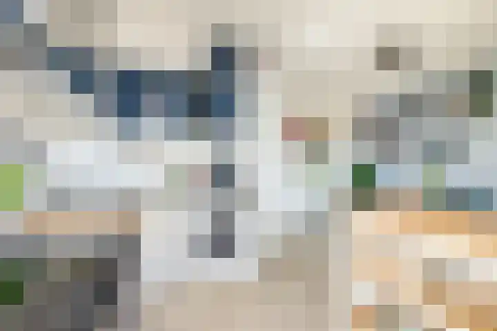 Homeruslaan 11 2 Utrecht thumbnail 12