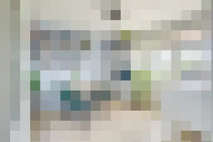 Homeruslaan 11 2 Utrecht thumbnail 13