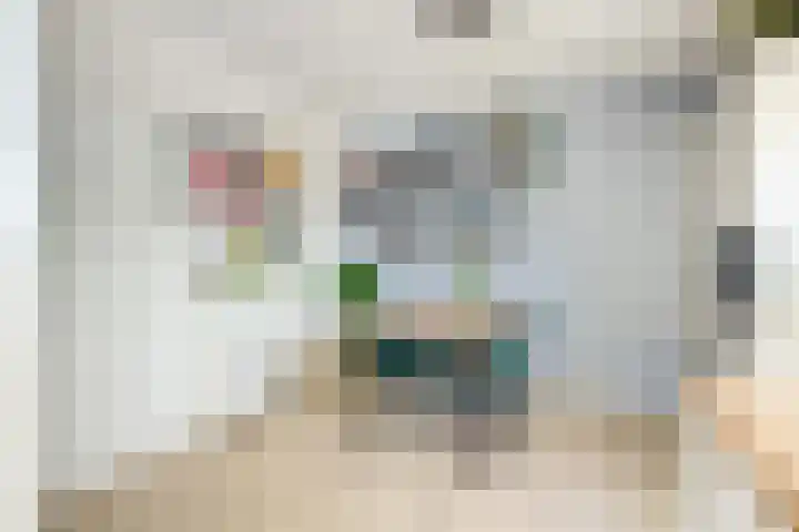 Homeruslaan 11 2 Utrecht thumbnail 14