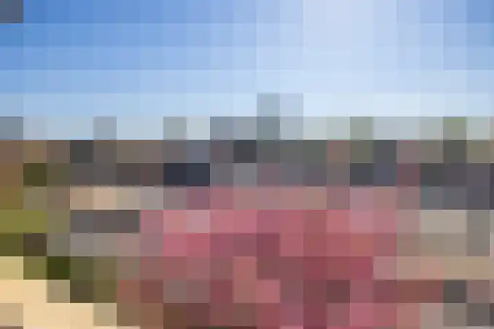 Homeruslaan 11 2 Utrecht thumbnail 18