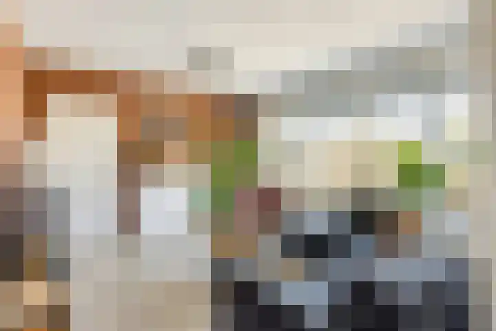 Homeruslaan 11 2 Utrecht thumbnail 19
