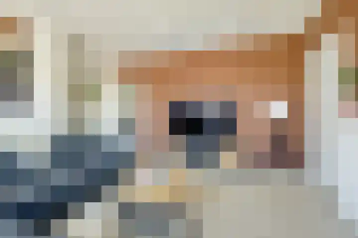 Homeruslaan 11 2 Utrecht thumbnail 21