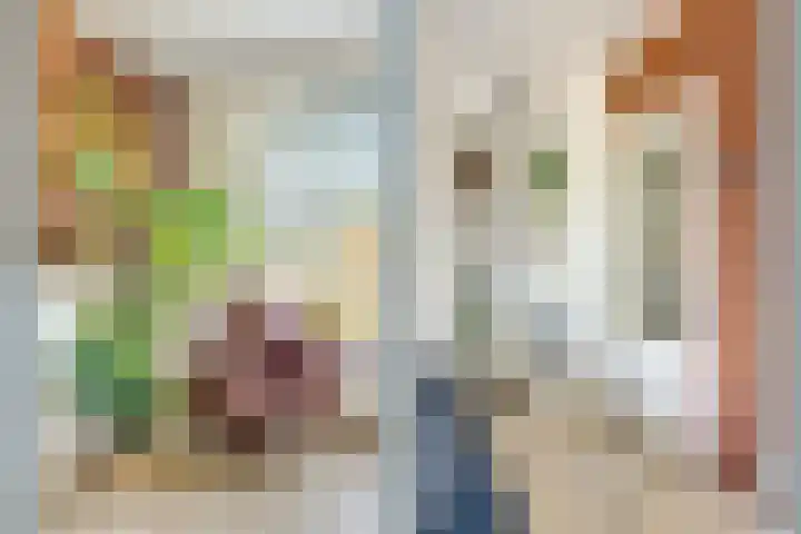 Homeruslaan 11 2 Utrecht thumbnail 23