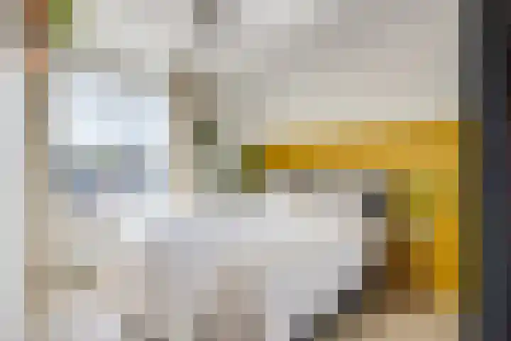 Homeruslaan 11 2 Utrecht thumbnail 28