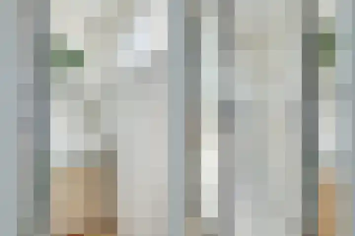 Homeruslaan 11 2 Utrecht thumbnail 32