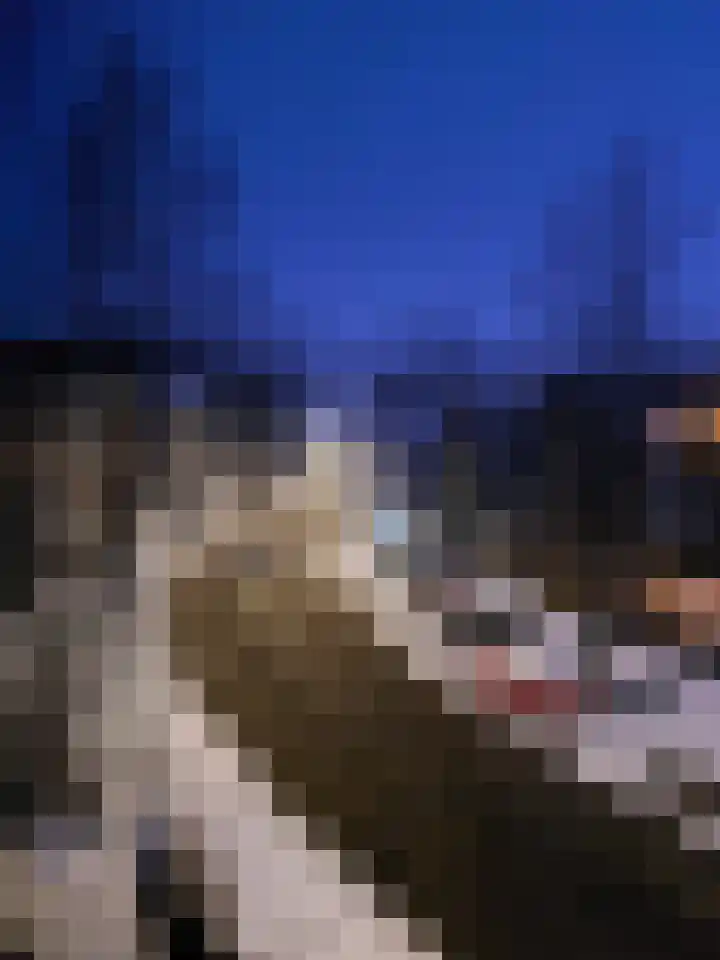 Homeruslaan 11 2 Utrecht thumbnail 38