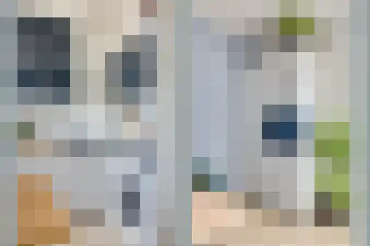 Homeruslaan 11 2 Utrecht thumbnail 4