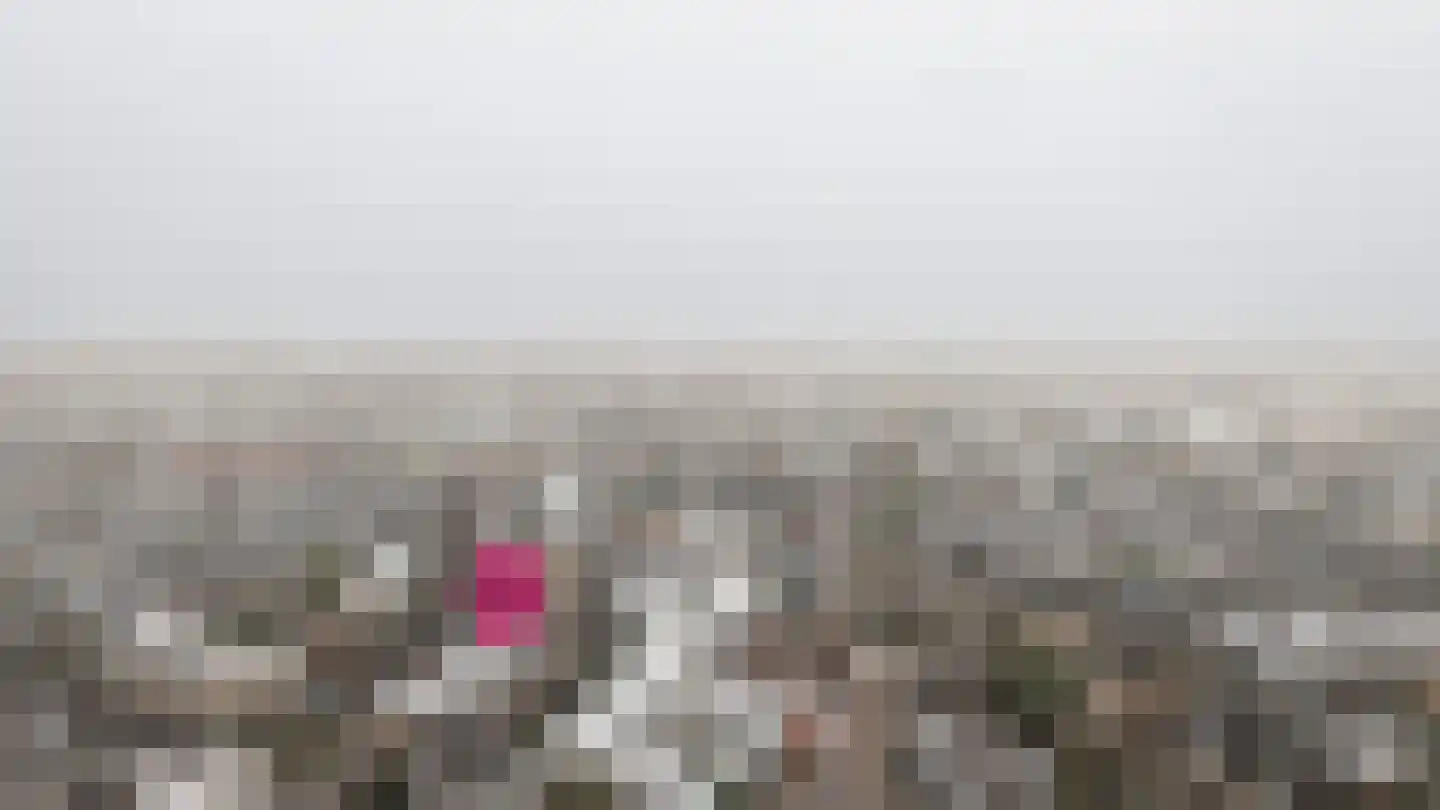 Homeruslaan 13 1 Utrecht thumbnail 31