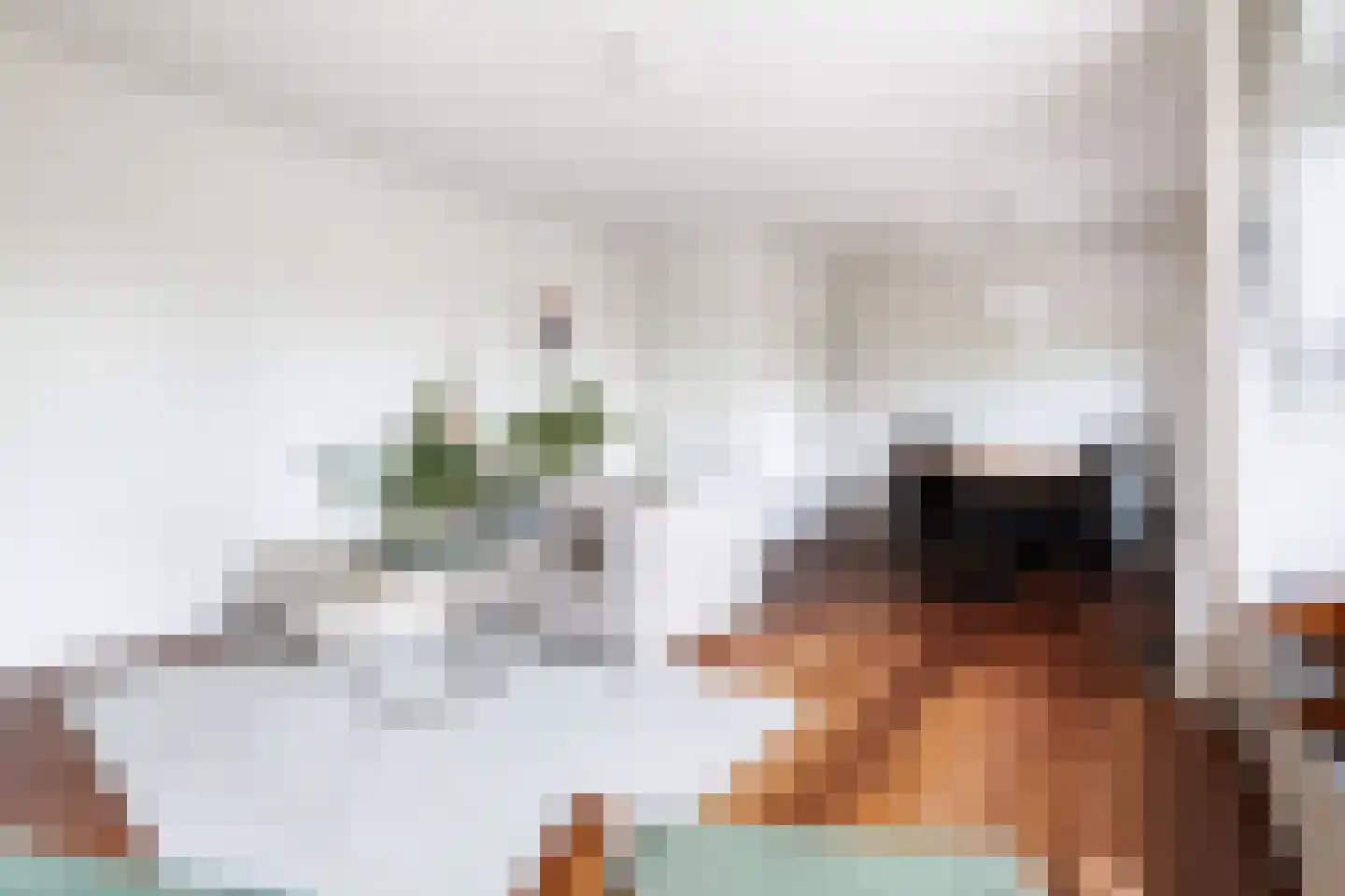 Homeruslaan 13 2 Utrecht thumbnail 11