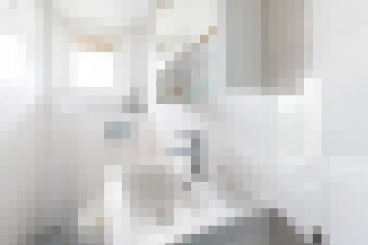 Homeruslaan 13 2 Utrecht thumbnail 23