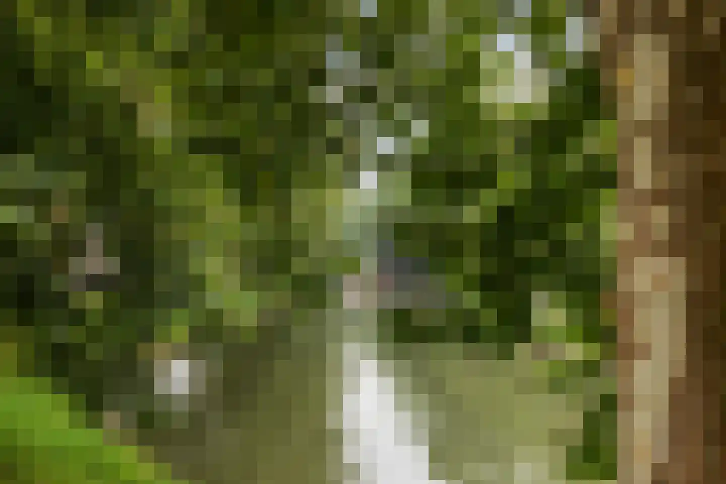 Homeruslaan 13 2 Utrecht thumbnail 28