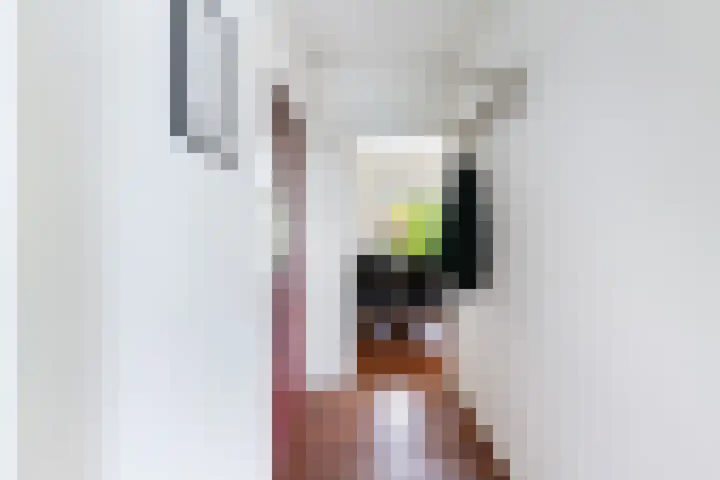 Homeruslaan 13 2 Utrecht thumbnail 8