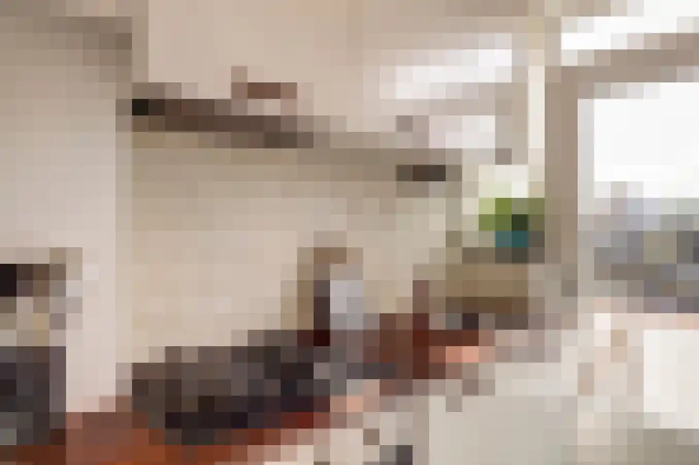 Homeruslaan 13 3 Utrecht thumbnail 19