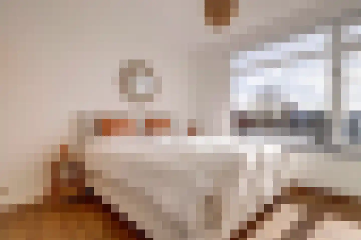 Homeruslaan 13 3 Utrecht thumbnail 24