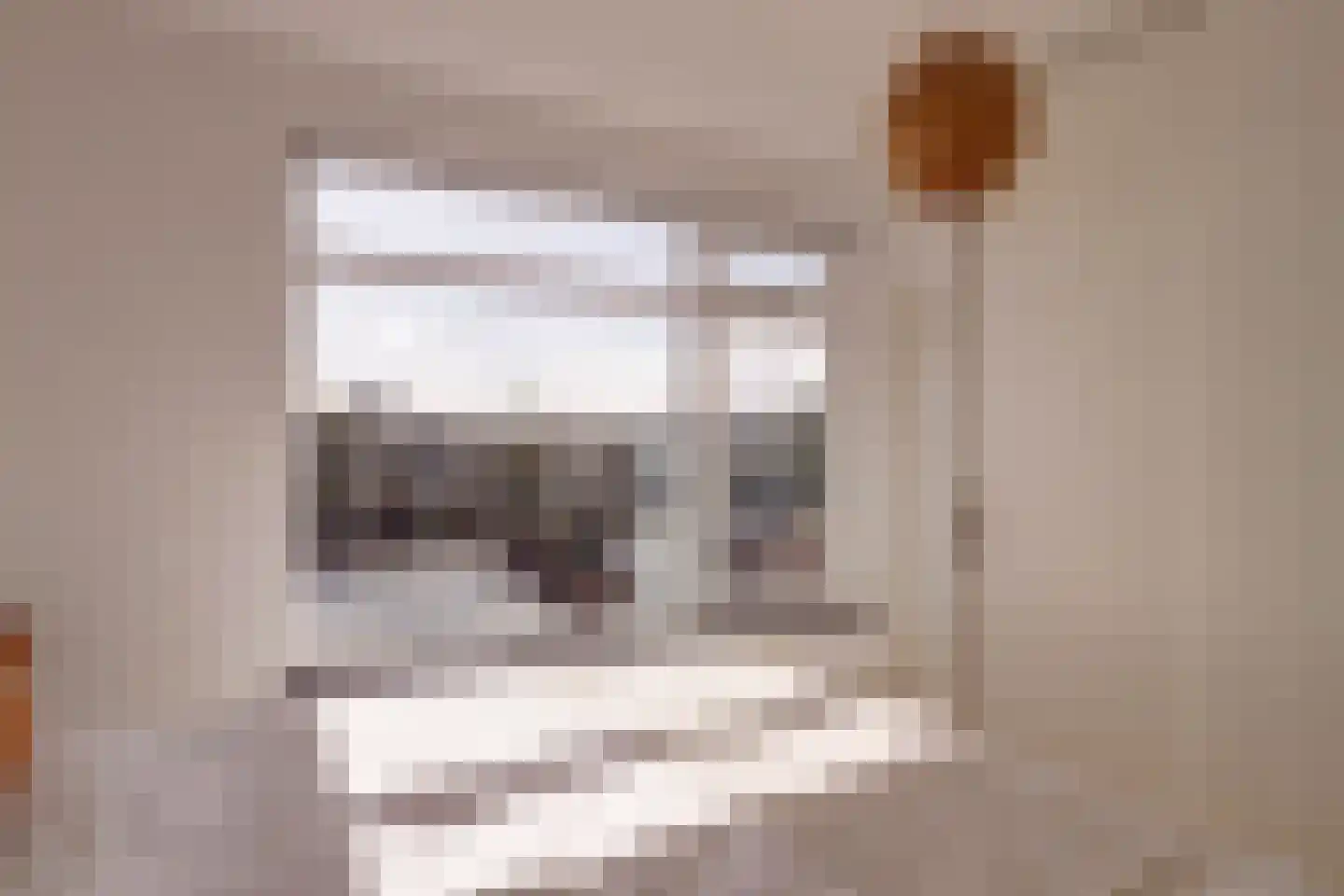 Homeruslaan 13 3 Utrecht thumbnail 26