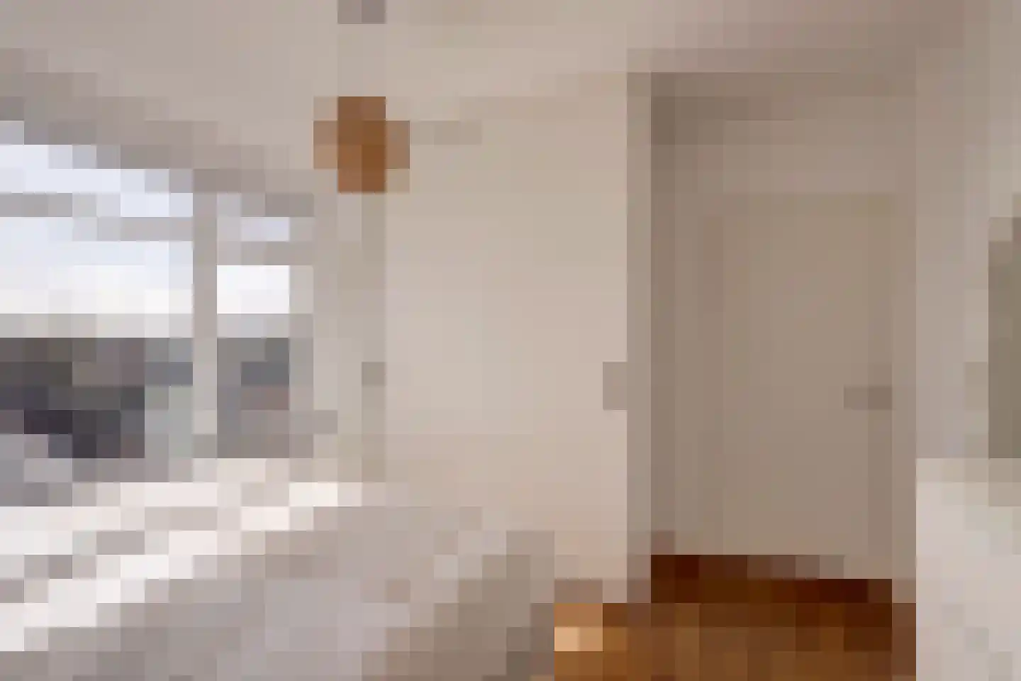 Homeruslaan 13 3 Utrecht thumbnail 27