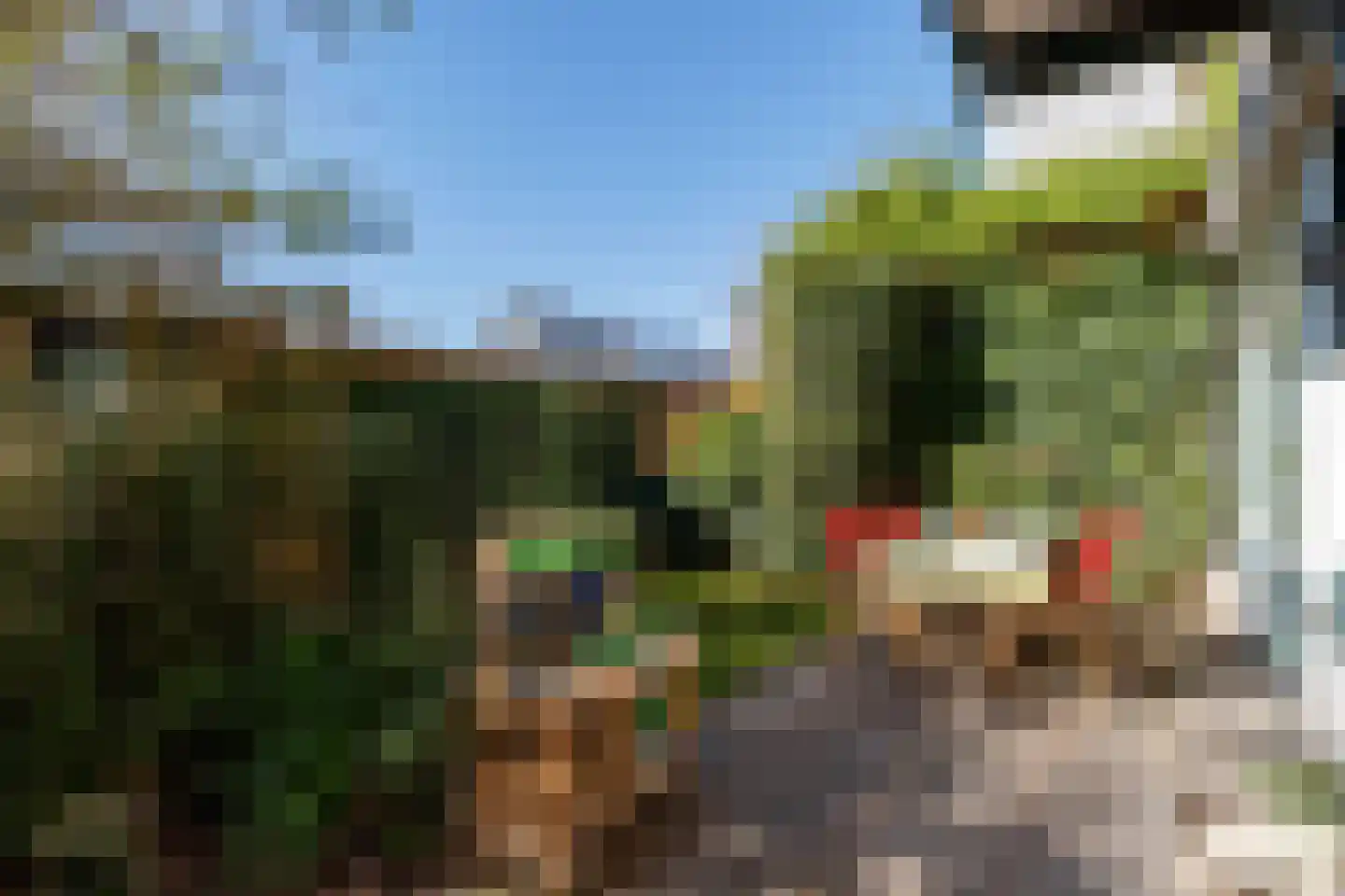 Homeruslaan 15 Utrecht thumbnail 17