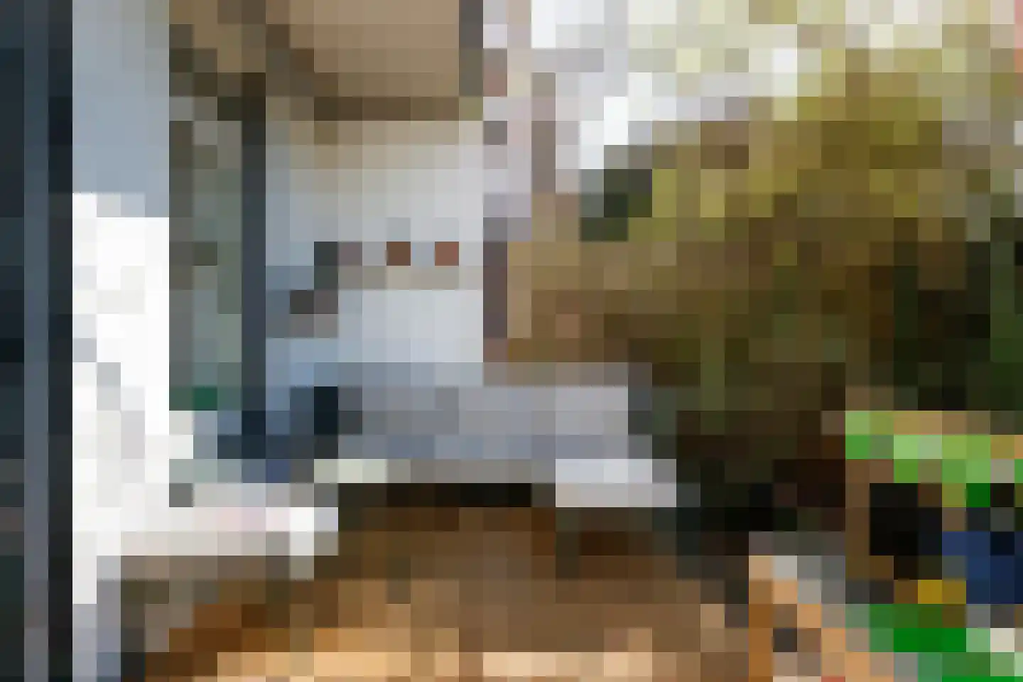 Homeruslaan 15 Utrecht thumbnail 20