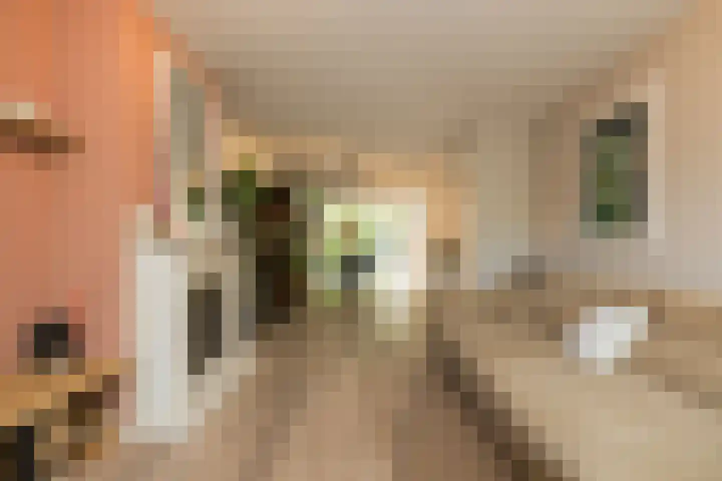 Homeruslaan 17 Oegstgeest thumbnail 17
