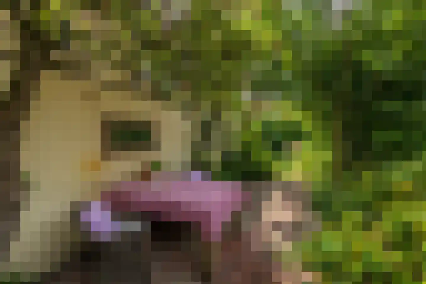 Homeruslaan 17 Oegstgeest thumbnail 18