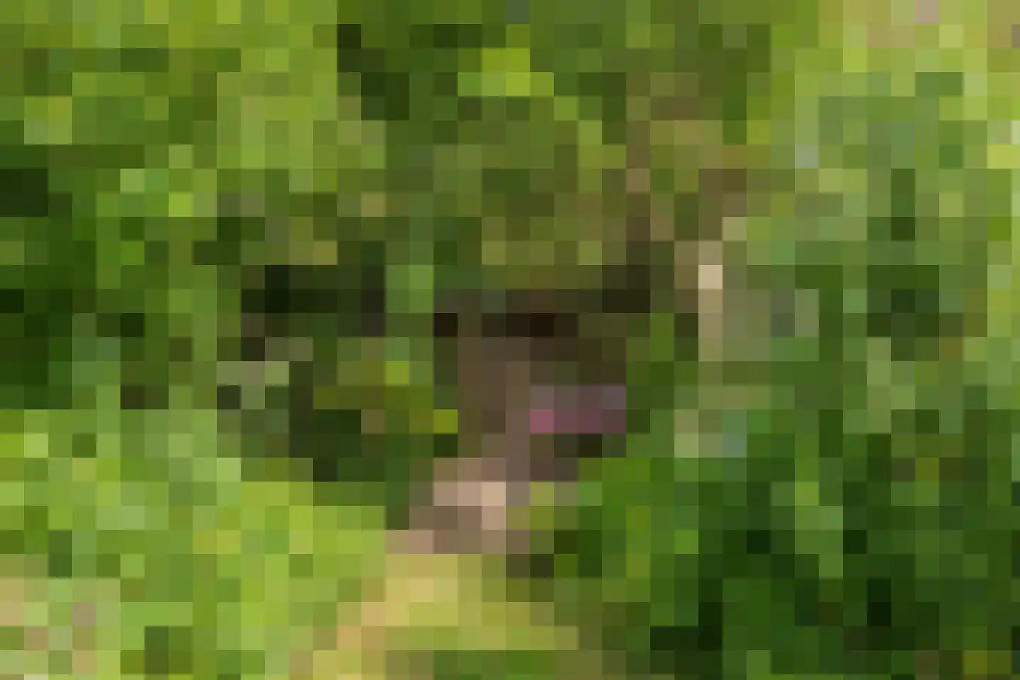 Homeruslaan 17 Oegstgeest thumbnail 19