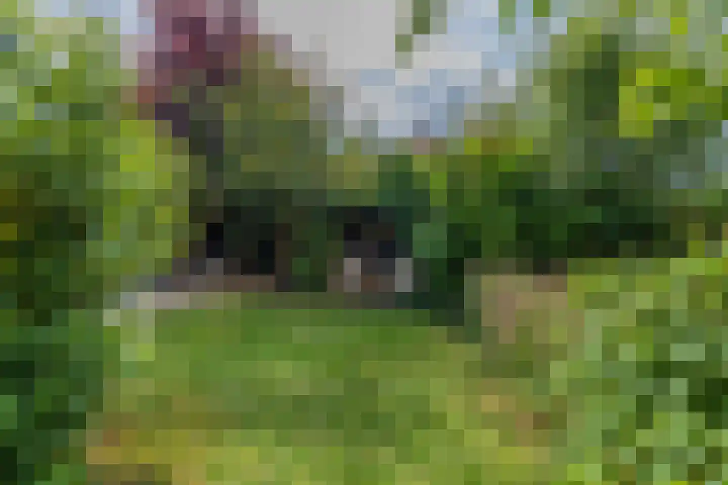 Homeruslaan 17 Oegstgeest thumbnail 25